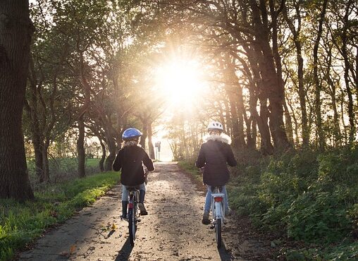 Kør med stil og komfort: De mest elegante gravel cykler på markedet